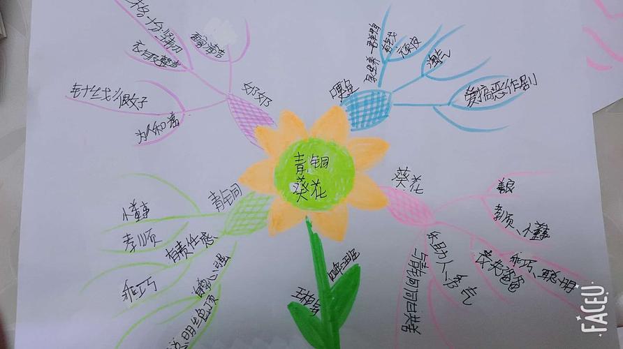 《青铜葵花》思维导图优秀作品展示