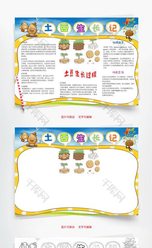 卡通简约土豆生长记word手抄报