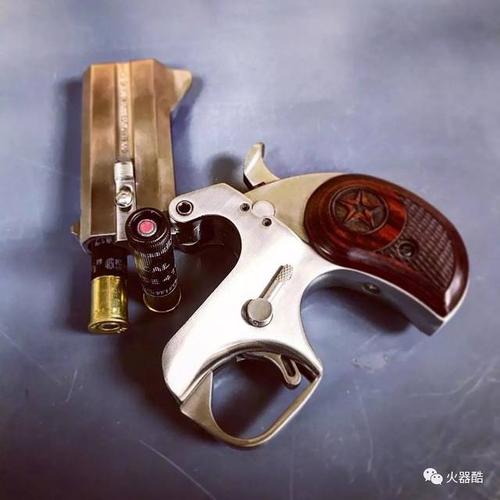 【掌心雷】bondarms公司德州防御者系列手枪图集