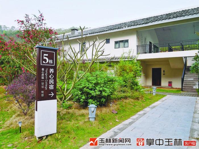"玉"见向往的生活 乡村旅游民宿体验采风之旅