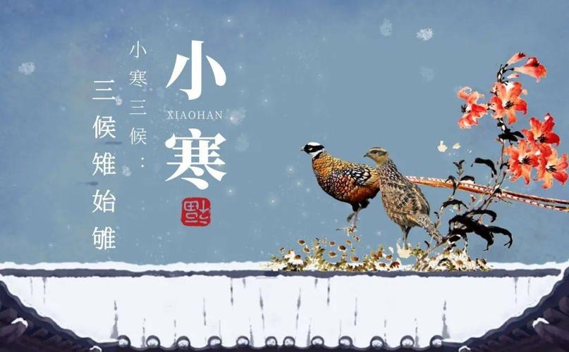 大雁已感受到阳气的萌动,开始向北迁移一候雁北乡小寒三候第