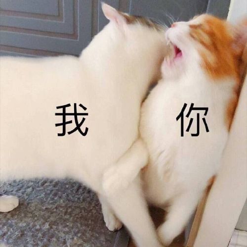 撩骚表情包图片:我和你