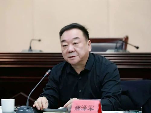 内蒙古六连发正厅级公安作家落马