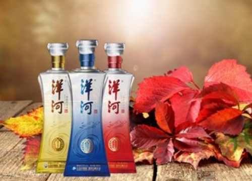 洋河龙族酒代理需要多少钱