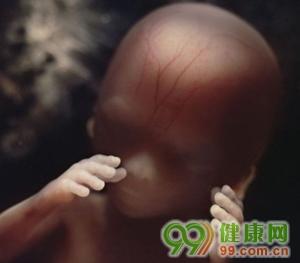 胎儿在子宫内发育震撼照