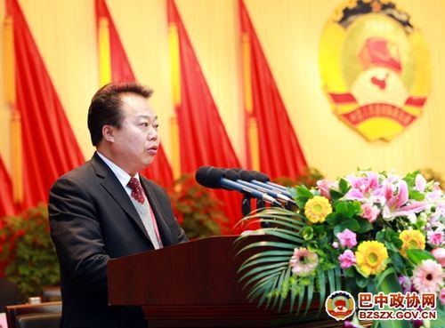 李树海代表政协巴中市第三届委员会常务委员会作工作报告