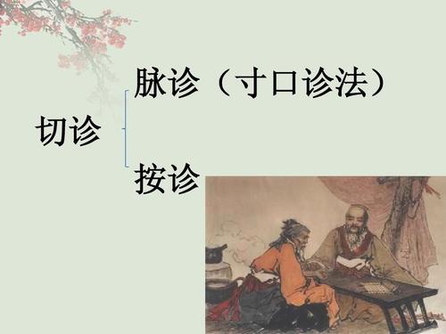 切诊(中医学)ppt