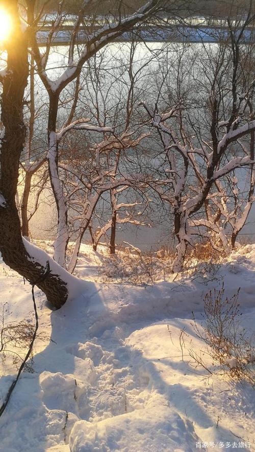 哈尔滨的雪景,美丽,浪漫