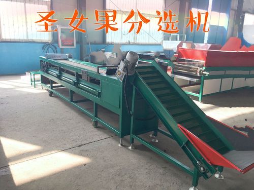 凯祥新型 圣女果选果机,2018全新升级,大枣,蒜米分选机