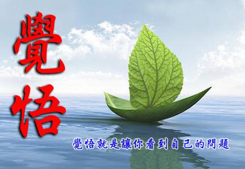 觉悟就是让你看到自己的问题