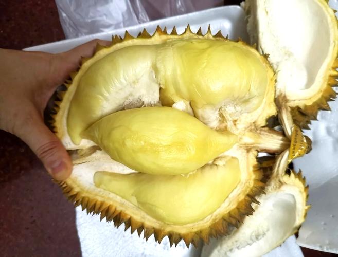 原创大家都在晒"最近开的榴莲",这出肉率,我怀疑榴莲是来报恩的!