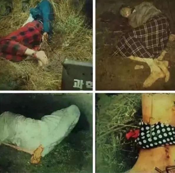 "韩国白银案"4年奸杀10人,33年后真凶都因为这个技术终落网!