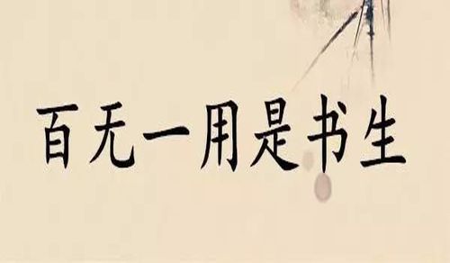 "十有九人堪白眼,百无一用是书生"是什么意思?
