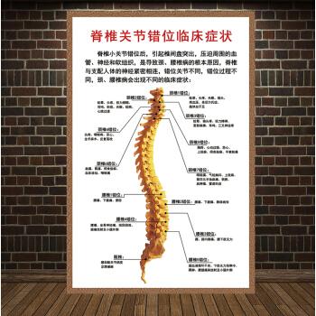 间盘突出墙贴脊柱关节错位临床症状026090厘米36寸可移除背胶背面带胶