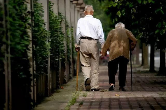 三个成年子女弃养年迈父母一对八旬老人相依相扶还能走多远