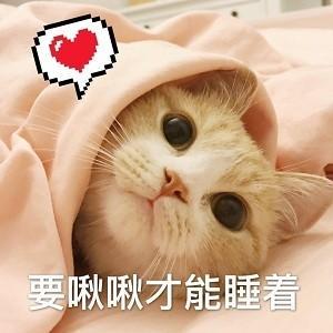 猫咪撩老公表情包合集好困困要老公亲亲才起来