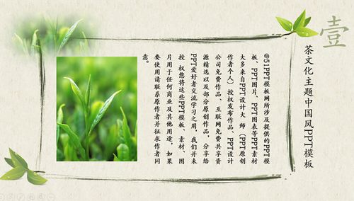 茶叶 茶艺 茶文化主题ppt模板