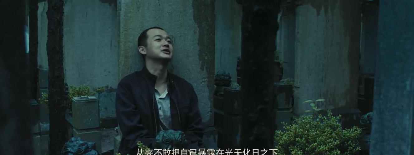 致青春:包贝尔最后对江疏影说的话,说出了多少暗恋者的心声!