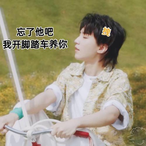 饭制王俊凯骑小车表情包,奇奇怪怪的小可爱