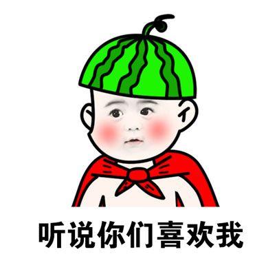 【西瓜太郎表情包】你们要是不喜欢,我就不做了