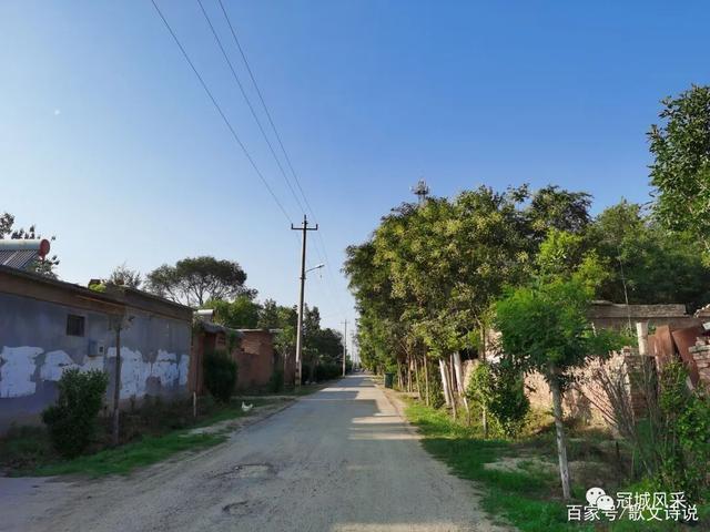 冠县乡韵·桑阿镇大花园头村