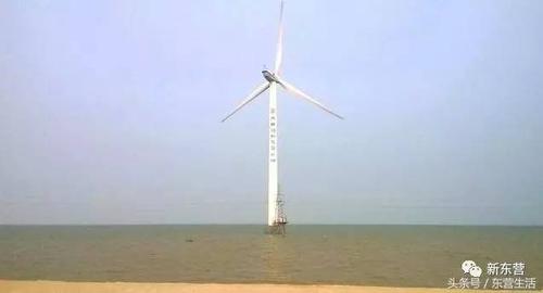 东营海边大全最全攻略在这里
