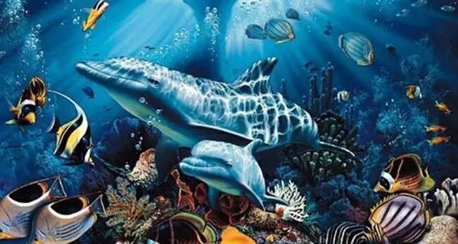 我们的海洋,我们的未来.