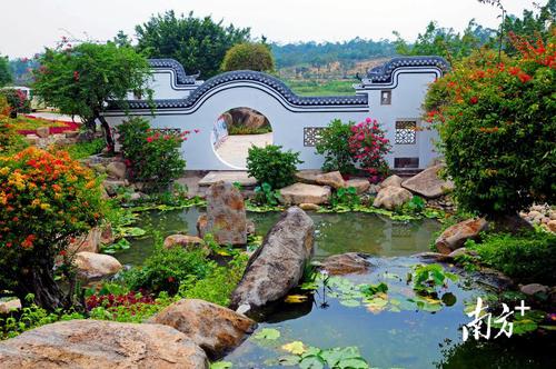 打造"一二三"格局,花都加快形成花卉盆景苗木三产融合