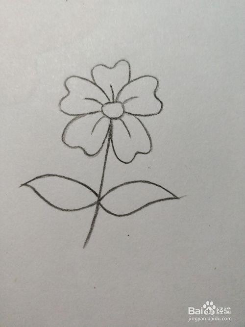 五色梅简笔画一年级