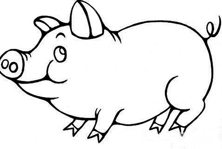 母猪传染性萎缩性鼻炎的防治技术