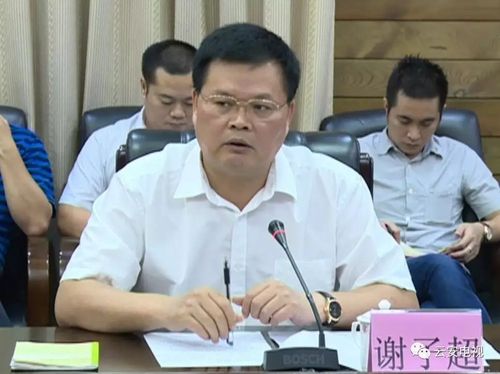 谢子超在会上指出,迎接创建国家园林城市,农村生活垃圾治理,环境保护