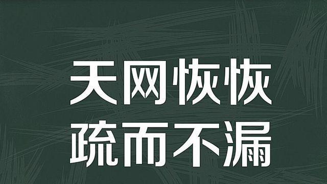 天网恢恢疏而不漏是什么意思