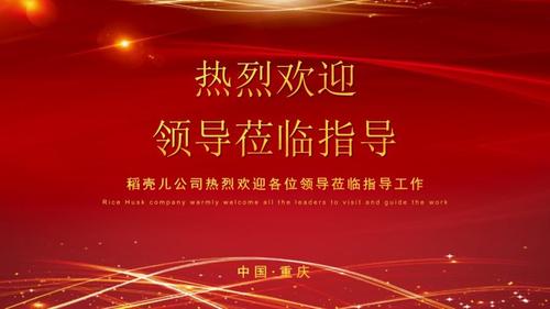 xx公司热烈欢迎领导莅临指导ppt模板