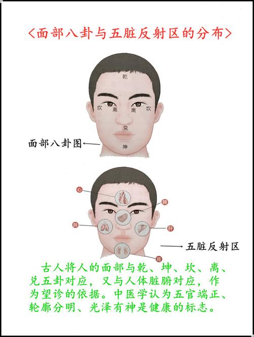 中医面部望诊解读(连载三)