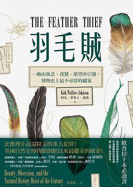 羽毛贼短评