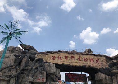 诸城景点介绍,诸城旅游景点,诸城景点推荐 - 马蜂窝