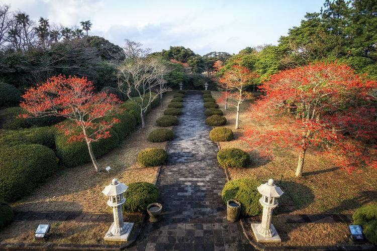 冬青属,圆形建筑,济州岛,红色,果树,韩国