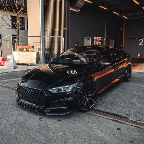 黑武士_奥迪怎么样_奥迪rs5_汽车_汽车介绍