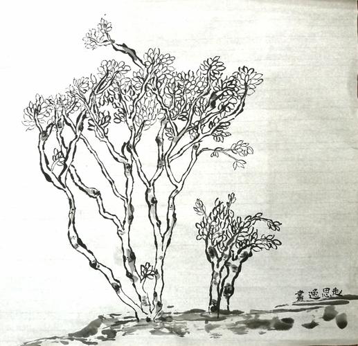 绘画大师班孩子们的第一次户外写生,一起来画树～(周五,周六班级)