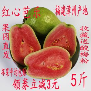 红芭乐新鲜包邮红心芭乐红番石榴红肉芭乐台湾福建南方水果5斤潘