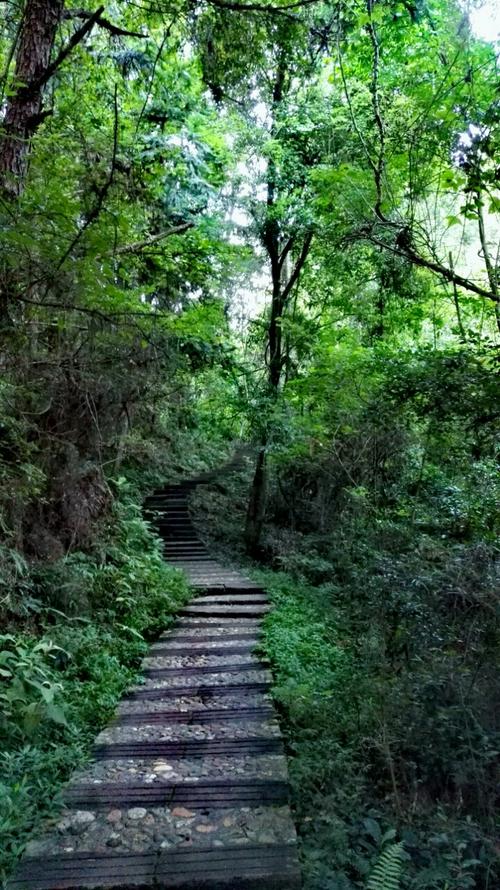 山路弯弯
