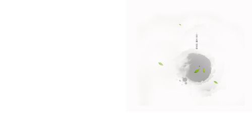 叙府龙芽画册|平面|其他平面|qxxq - 原创作品 - 站酷