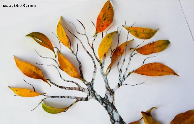 夫人独家大自然创意手工素材包