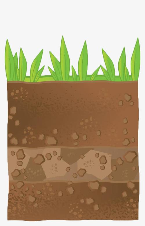 土壤,土壤剖面,土地,泥土,植物,手绘,草丛