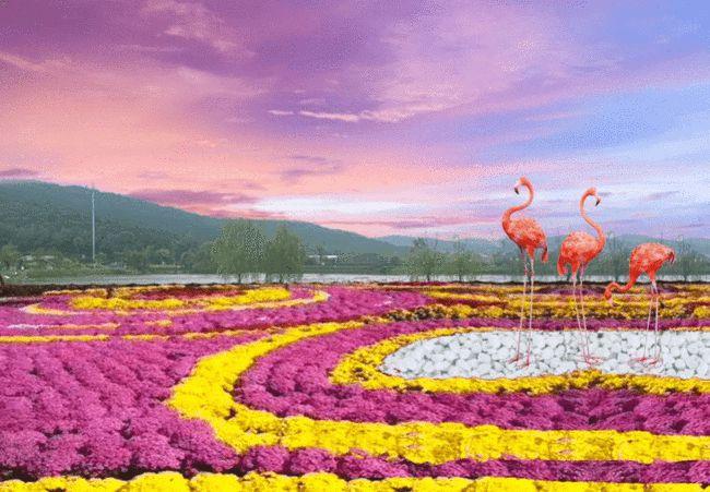 太湖湾3000㎡菊花展惊艳亮相!现在还有预售特惠,附购票入口!