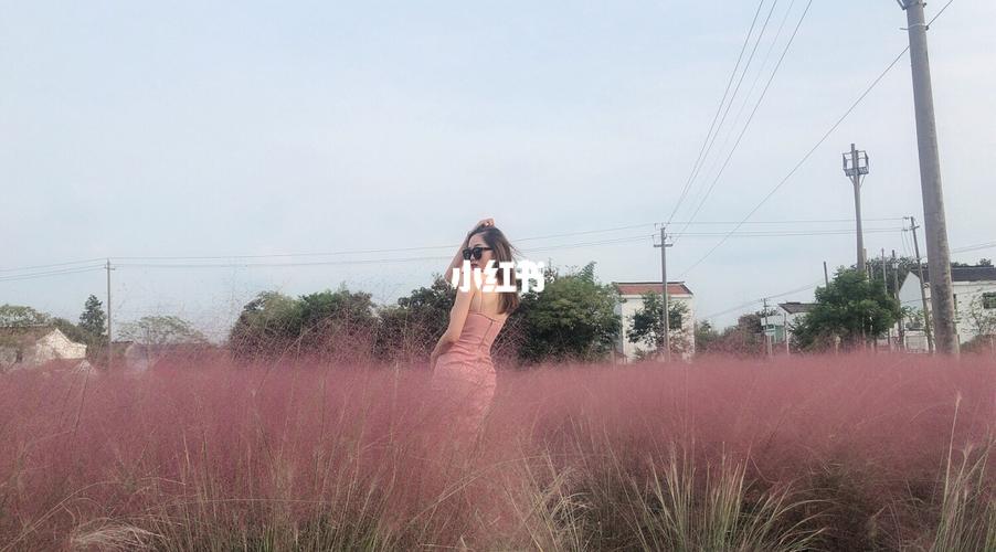 溧阳别桥原乡花海_花海_溧阳别桥原乡饮马溪田园自由行热门攻略_别桥