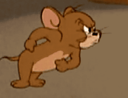 你有哪些珍藏的猫和老鼠gif表情包?