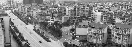 参评最具投资环境 荣县人热情高涨(组图)