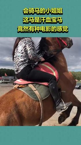 会骑马的小姐姐,这马是汗血宝马,竟然有种电影的感觉