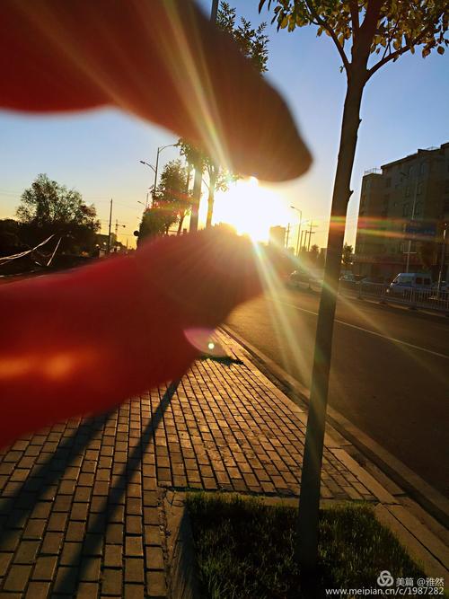 清晨,你在我眼里